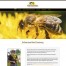 Tuckamore Website